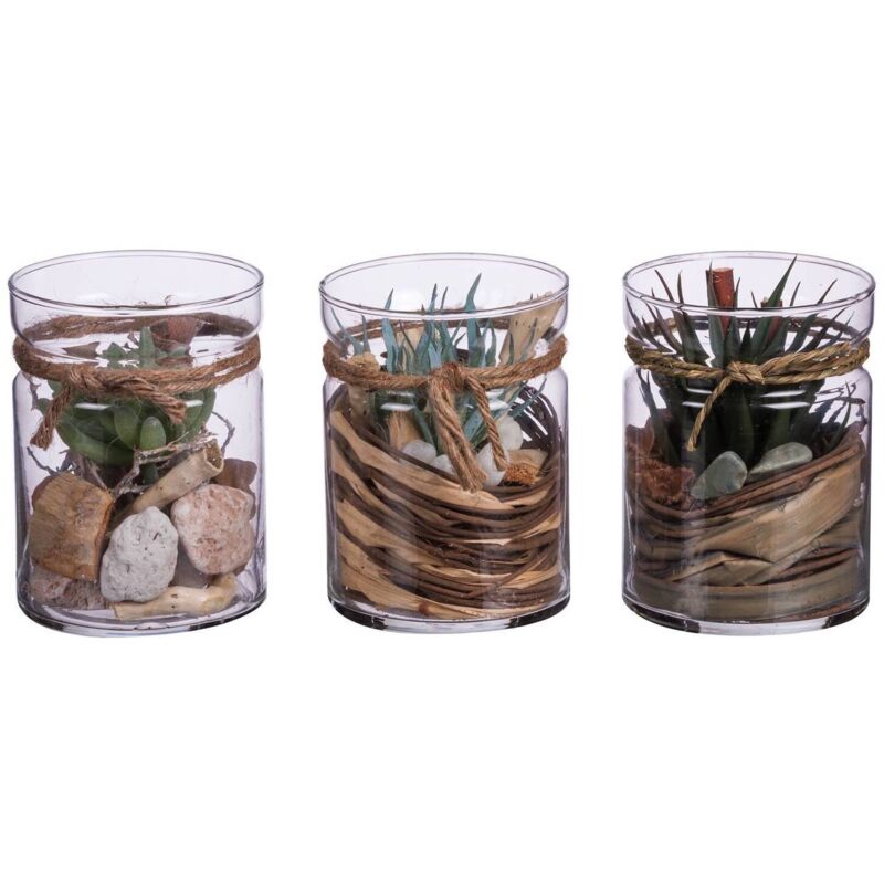 Vaso con piante D.10XH13.5CM in 3 modelli in vetro