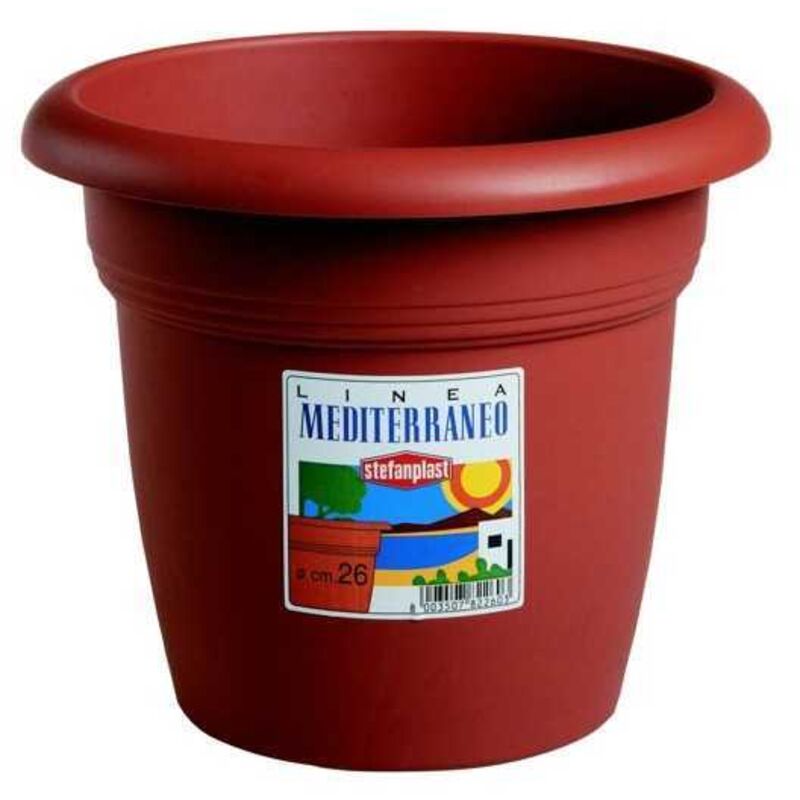 Una immagine