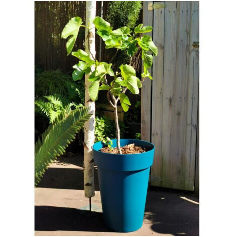 Vaso per fiori RIVIERA SOLEILLA - Plastica - Altezza 53 cm - Blu