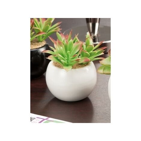 VASO +PIANTA GR D7,5X5,5H