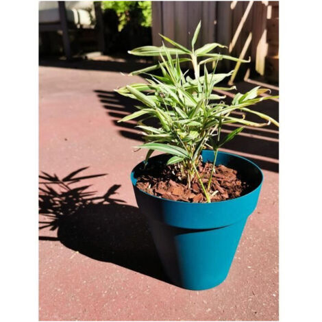 Vaso Riviera Azzurro Ø 55 cm