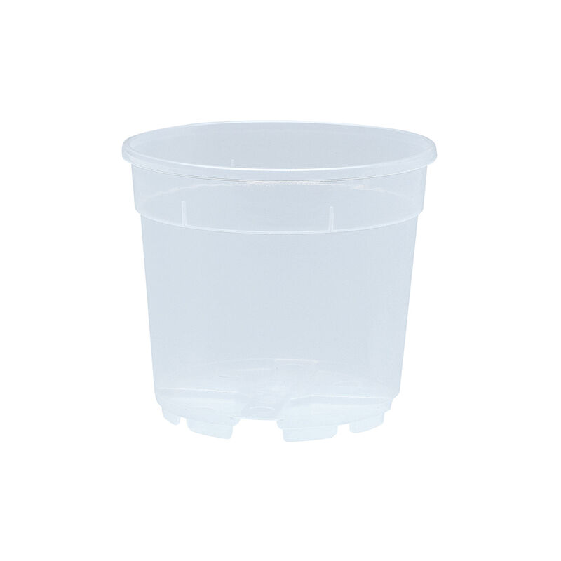 Vaso Trasparente Per Orchidee 13x11,5 Cm n.1 Pezzo , Ditta Arca