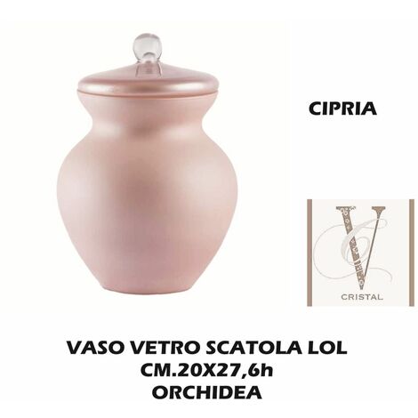 Orchidea in vaso in vetro trasparente – COMETA FEDERFIORI