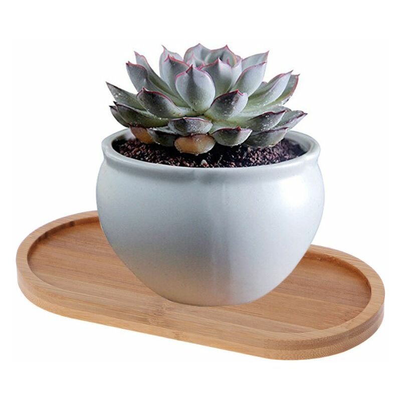 Vassoio di bambù di forma ovale vassoio per tazza