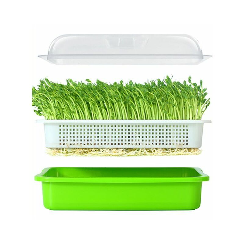 Vassoio per semi di semi BPA libero PP senza