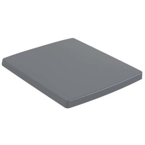 V&B WC-Sitz MEMENTO 2.0 Graphite C-plus, Quick-Release, Softclosing, Scharniere Edelstahl