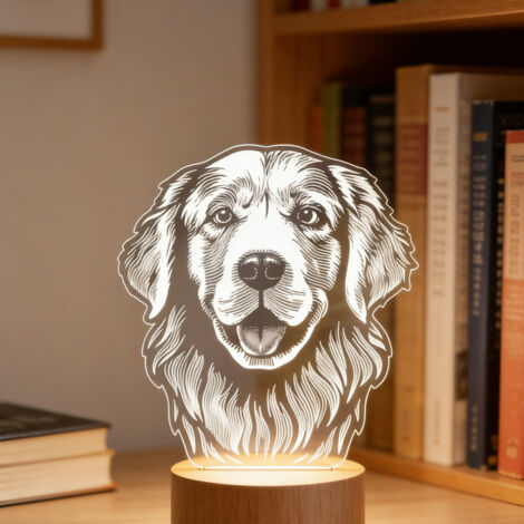 Veilleuse LED Lampe 3D RGB
