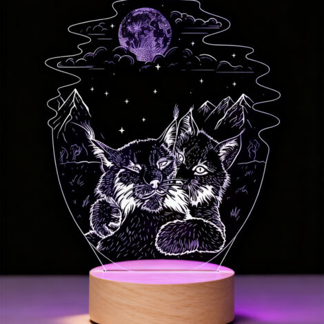 Veilleuse LED   Lampe 3D RGB