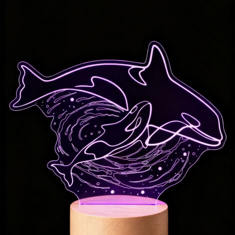 Veilleuse LED Lampe 3D RGB