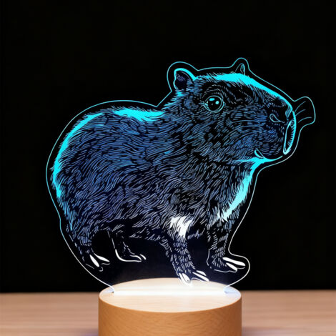 Veilleuse LED   Lampe 3D RGB