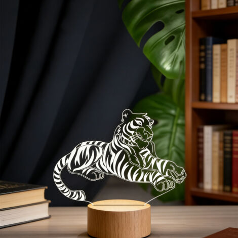 Veilleuse LED Lampe 3D RGB