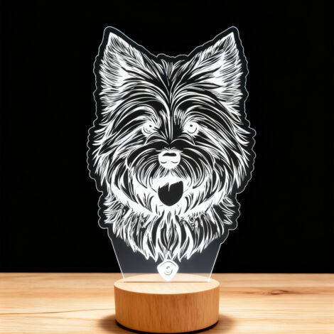Veilleuse LED Lampe 3D RGB