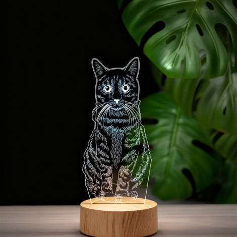Veilleuse LED   Lampe 3D RGB