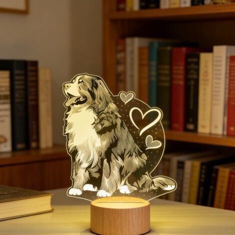 Veilleuse LED   Lampe 3D RGB