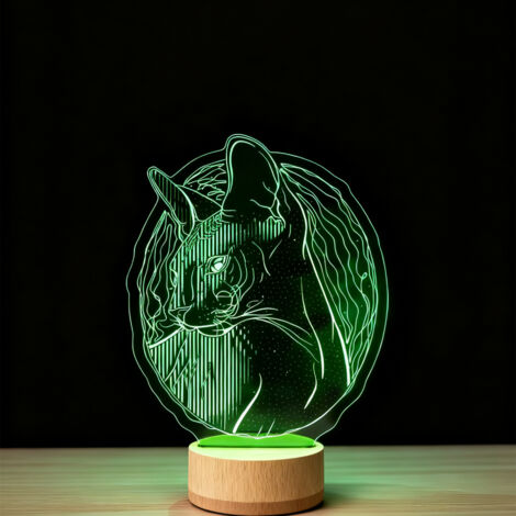Veilleuse LED Lampe 3D RGB