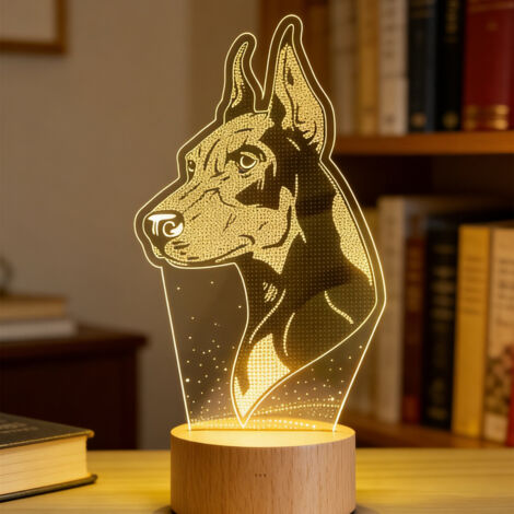 Veilleuse LED Lampe 3D RGB