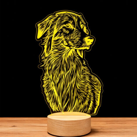 Veilleuse LED Lampe 3D RGB