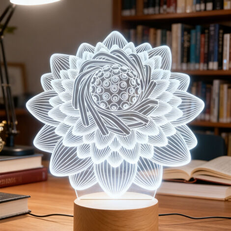 Veilleuse LED Lampe 3D RGB