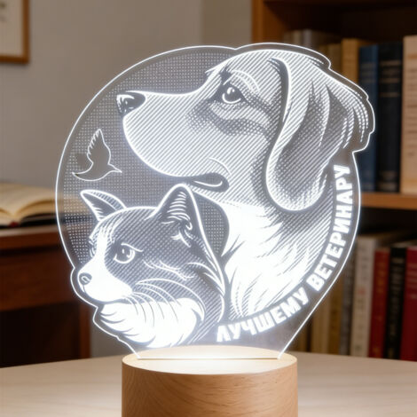 Veilleuse LED Lampe 3D RGB