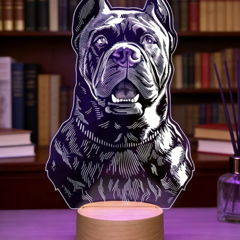 Veilleuse LED   Lampe 3D RGB