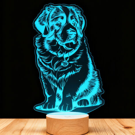 Veilleuse LED Lampe 3D RGB