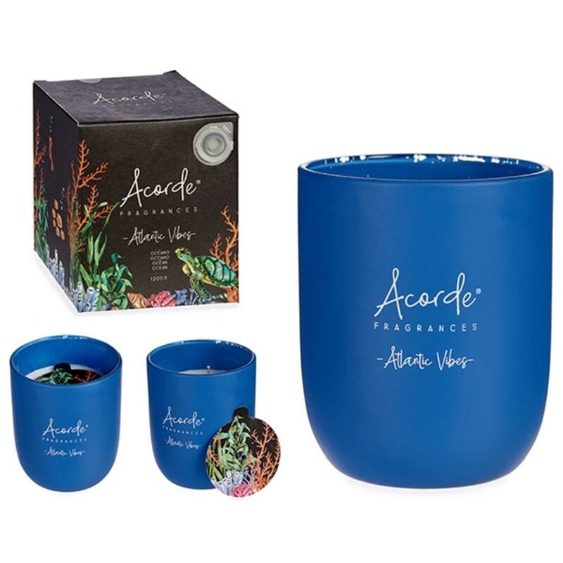 

Vela Atlantic Vibes Vaso Azul (7 x 8 x 7 cm)