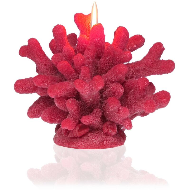 

Vela Coral