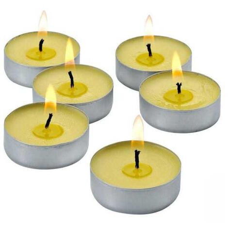 Vela de citronela en tazas de 25 unidades Lapillo 09291