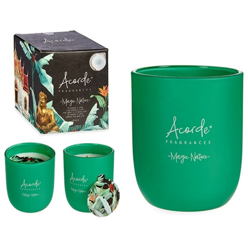 

Vela Magic Nature Vaso Verde (7 x 8 x 7 cm)