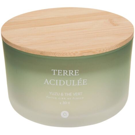 Vela perfumada 420 g Sana yuzu y té verde - Atmosphera créateur d'intérieur