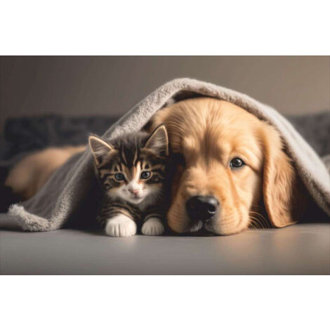 VELVET KITTEN & PUP 45X75 MERCURY 007799-1