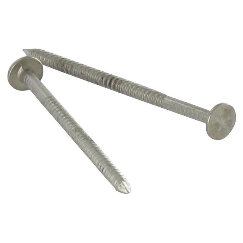 Kg de pointes Anneau Tête plate 30 Diamètre 2.3 Inox A2-1 piece