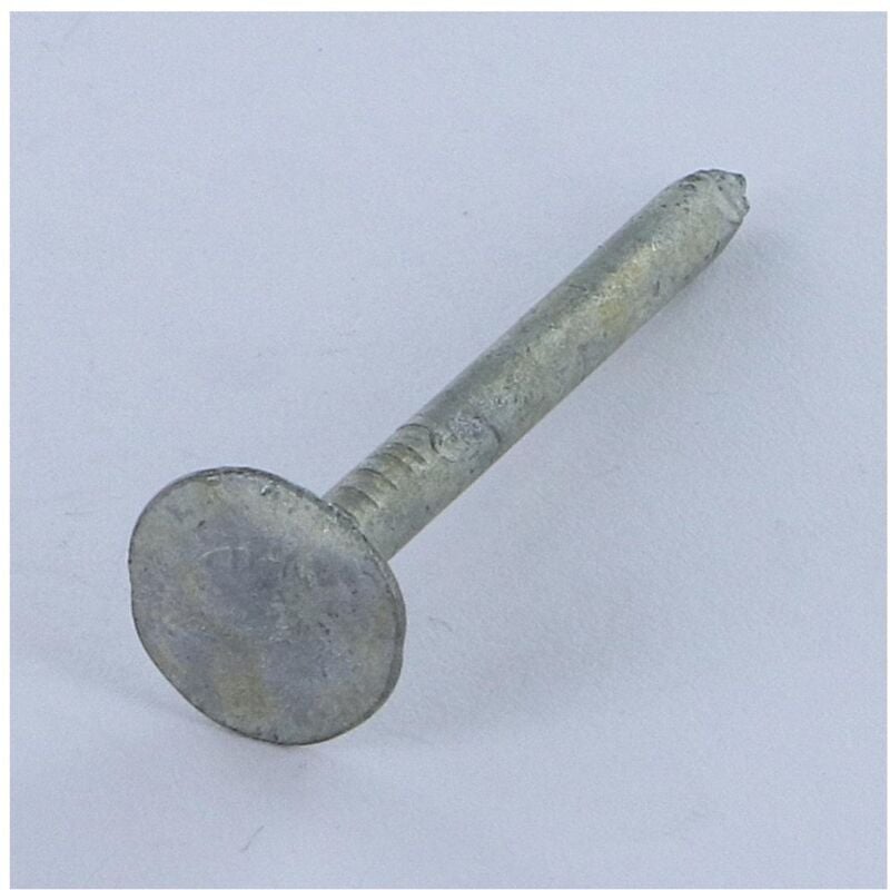 Kg de pointes ardoise Tête extra large tel 3.5X50 Diamètre de tête: 13.5 Forte tenue à la corrosion Acier-5 pièces