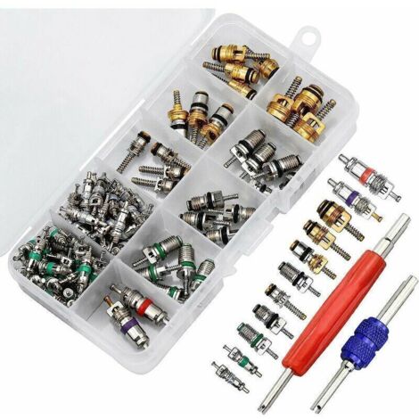 Vente chaude-102pcs Noyau de Valve de Climatisation, R134A Noyaux de Tige de Soupape de Climatisation Automobile avec Outil de Suppression pour la Réparation de l'Air de Voiture,de DEBUNS
