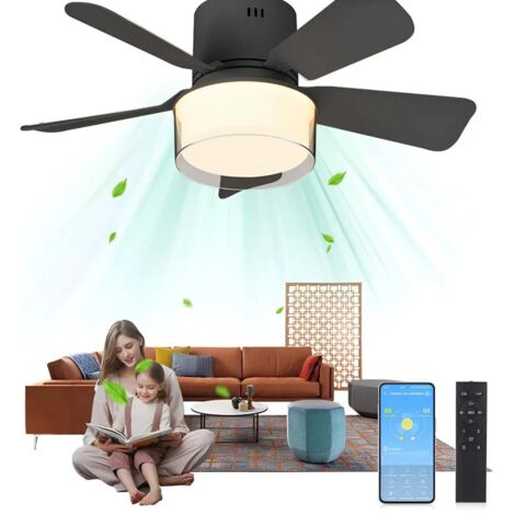 Ventilateur de plafond 52.5 cm – Lumière LED - E26 / E27 - 5 pales – Télécommande - 4 vitesses - avec tige d'extension de 9,5 cm - Noir