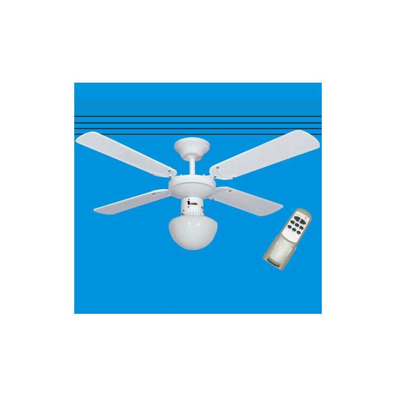 Ventilateur de plafond avec te'le'commande 105 cm blanc 60 W avec ventilateur a' pales 3 vitesses avec e'clairage