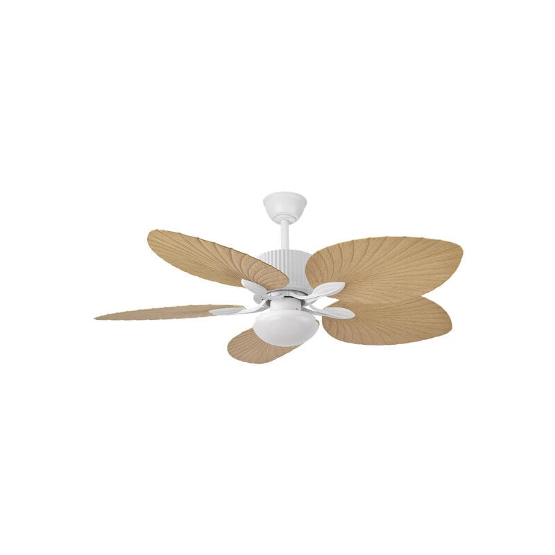 Ventilateur Dc 26w Colla White 5-stage Beech 132d 6-speed 2950lm 3000-4000-6000k Minuterie à distance-mémoire - Fabrilamp