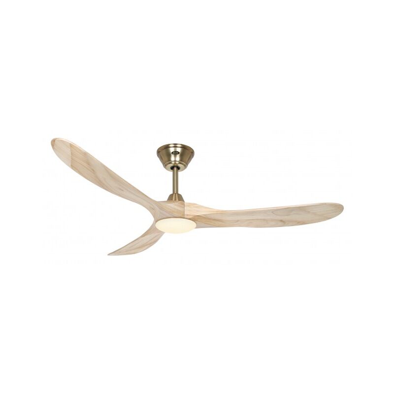 Casafan - Ventilateur de plafond Eco Genuino-L 152 mg-nt