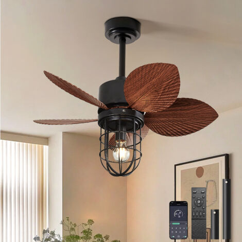 Ventilateur de plafond en métal de 70 cm, télécommande/contrôle APP, avec 2 tiges de suspension, 6 vitesses de vent, minuterie (sans ampoule)