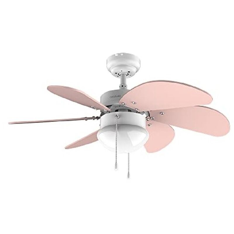 Ventilateur de plafond EnergySilence 3600 Vision Nude - Cecotec