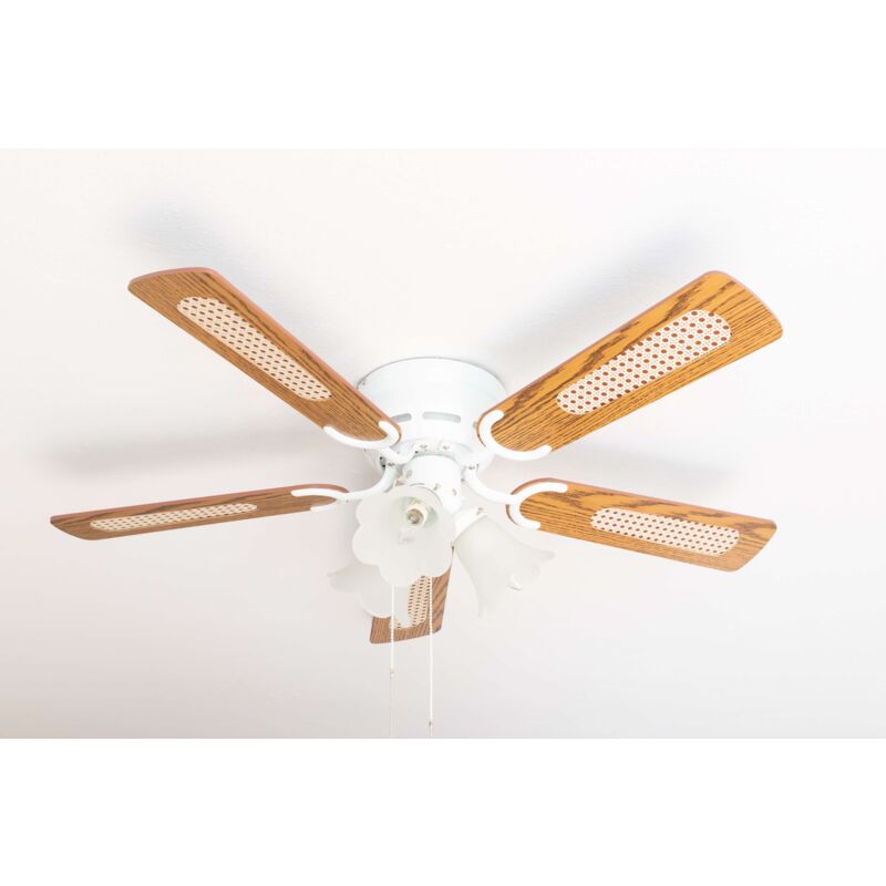 Pepeo - Ventilateur de plafond Kisa Deluxe wh Chêne / Noyer avec éclairage