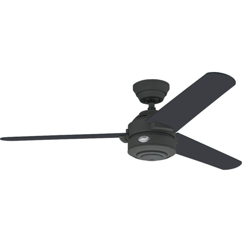 Certeo - Ventilateur de plafond Carera Graphite avec Tirette