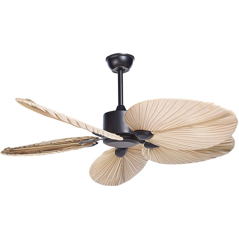 Beliani - Ventilateur de Plafond Traditionnel avec Télécommande Noir et Naturel Mammoth