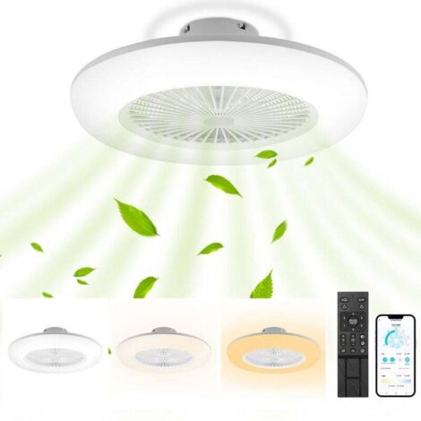 Ventilatore da soffitto a LED ALOVZE con luce e telecomando – Ventilatore dimmerabile da 80 W