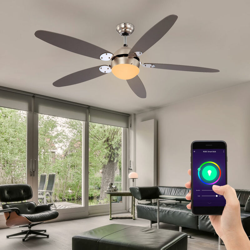 Image of Ventilatore da soffitto ventilatore estivo invernale con interruttore a tirante app comandi vocali, pale reversibili 3 velocità, Smart Home led 5W