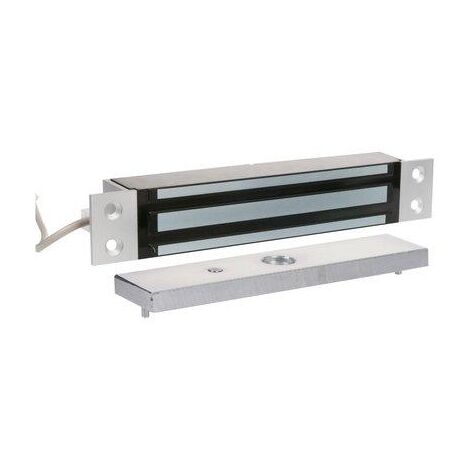VENTOUSE A ENCAS. 300KG SEWOSY EF300ENC CA