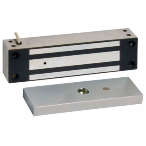 Ventouse App. inox 400KG 12VDC 001FR2196