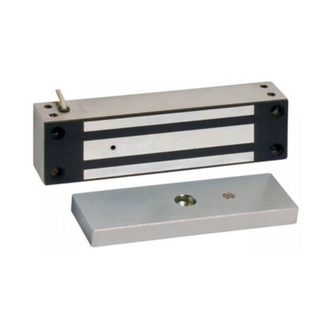 Ventouse App. inox 400KG 12VDC CAME 001FR2196