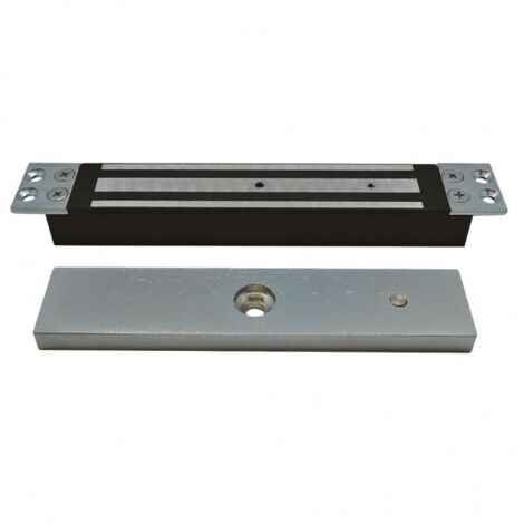 Ventouse encastrée 300 kg ou 600 lbs 12/24 v V300B AIPHONE 100320