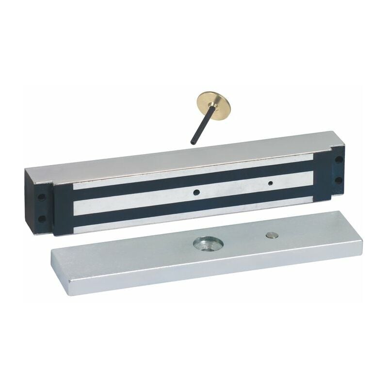 Ventouse inox à encaster 300 daN